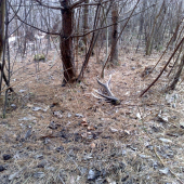 minulorocny 10toracik