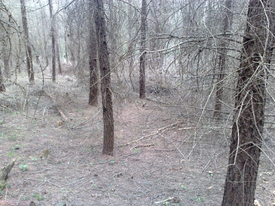 vcerajsi 2,prvy pohlad