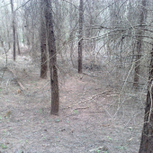 vcerajsi 2,prvy pohlad