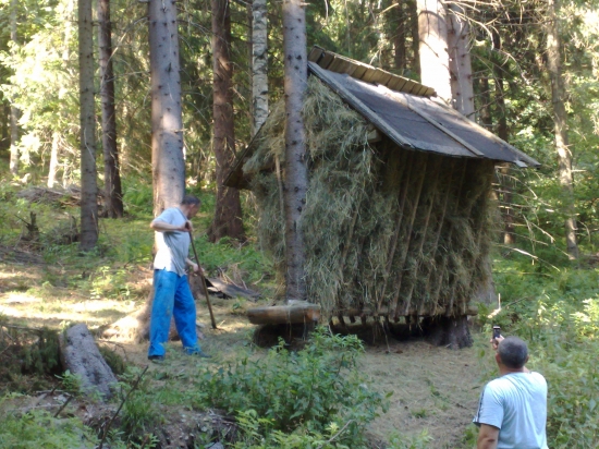 Takto vyzeral v lete