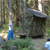 Takto vyzeral v lete