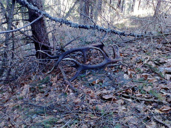 Takto ich tam odlozil