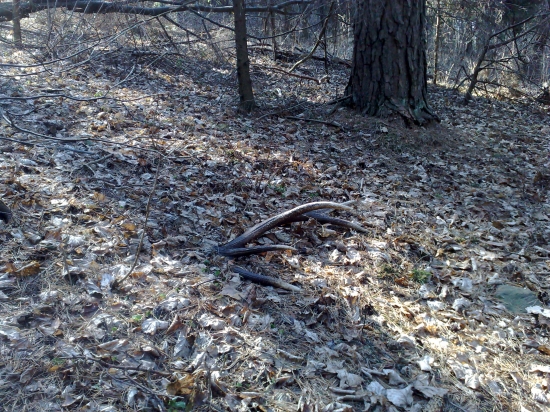 Nedotknuty minulorocny 12torak