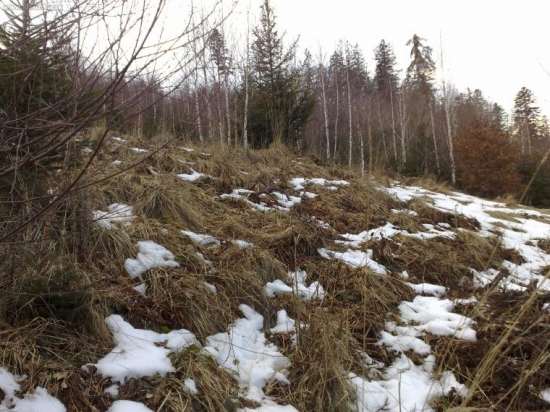 nezabudnutelny pohlad