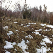 nezabudnutelny pohlad