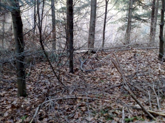 Po5dnovej pauze.-Desatorák.