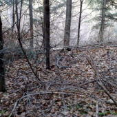 Po5dnovej pauze.-Desatorák.