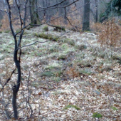 konecne tohorocne=lavy