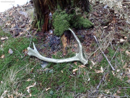 ostal tam aj nadalej