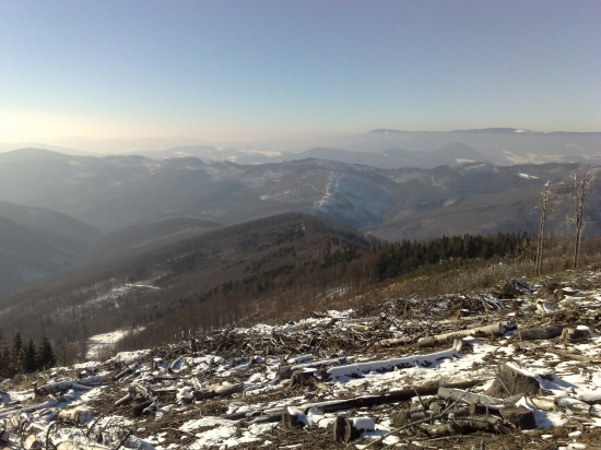 z dnesnej prechadzky