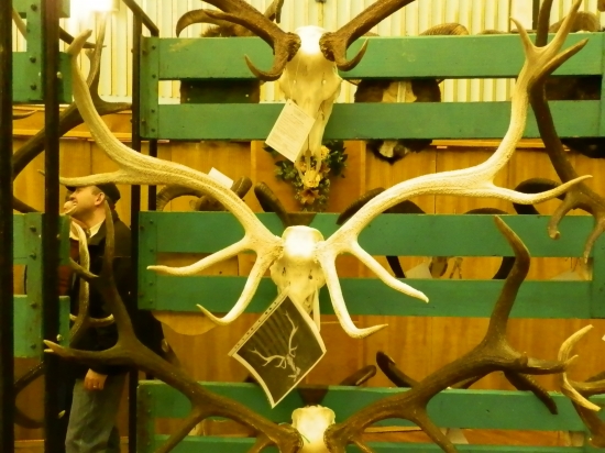 Vystava Gemerska Horka