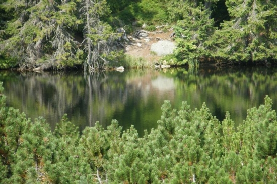 Jamské pleso