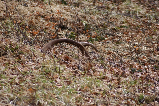 za jeden den č.1-12torak