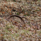 za jeden den č.1-12torak