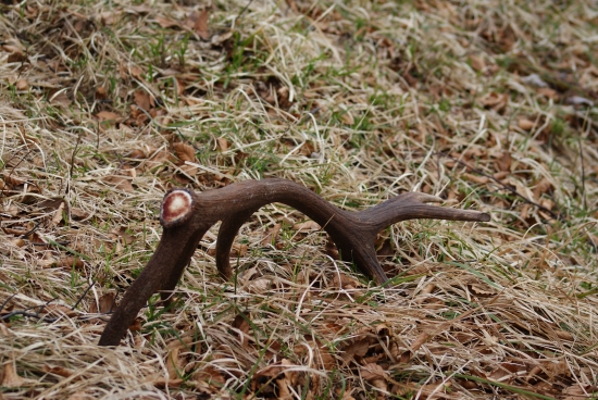 za jeden den č.3-14torak