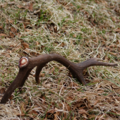 za jeden den č.3-14torak