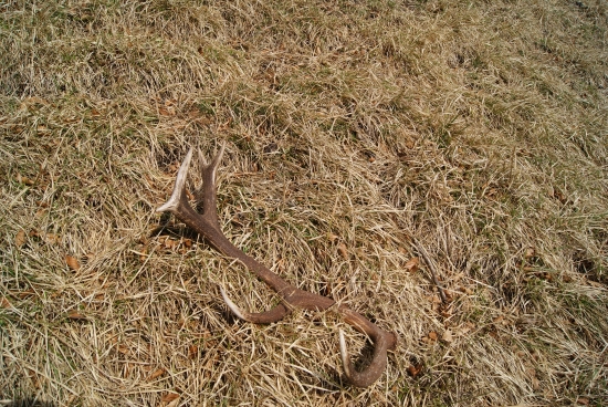 za jeden den č.4-12torak