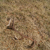 za jeden den č.4-12torak