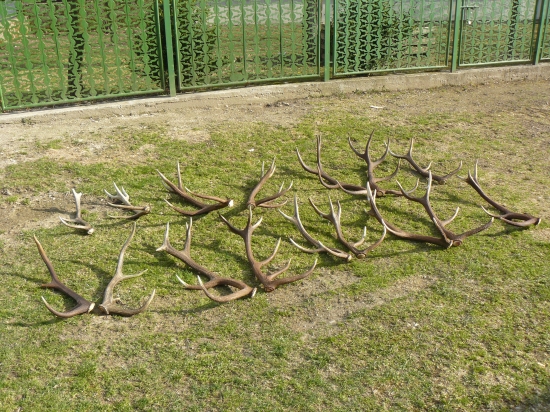 spolčne zo zalesakom4 za sezonu 2011