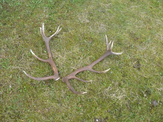 a po tyždni su spolu