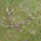 a po tyždni su spolu