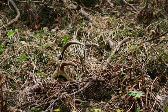 druhy krat ta neprehliadnem