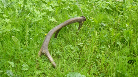 za sol aj odmena prišla