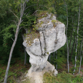 budzogan