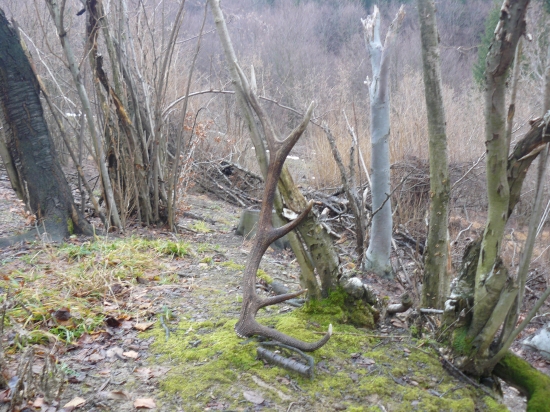 12torak-----102cm....