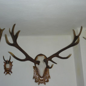 dva roky pred id.foto 10334