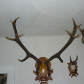 pekne zhody na nie moc peknej podložke