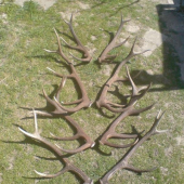 spomienka na sezonu 07