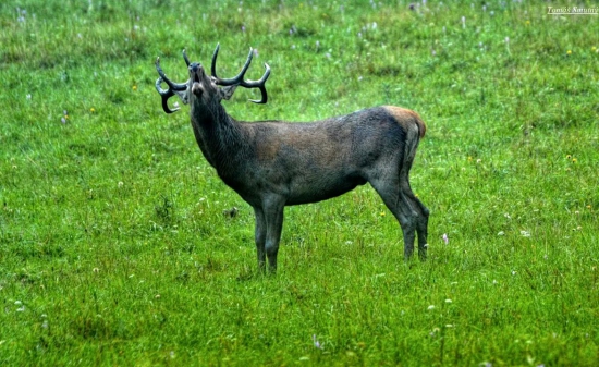 rovno do objektivu