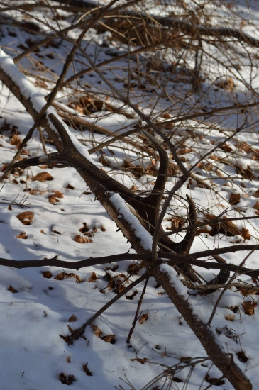po 2 rokoch sa usmialo štastičko