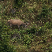 O nedlho bude ručat....