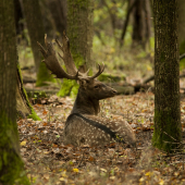Zasluženy odpočinok