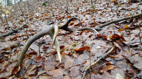 Počkal si na mna 1/16