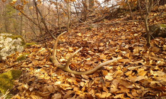 Dva roky počkali....