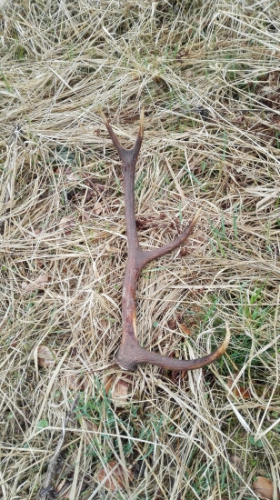 Opät sa štastie usmjalo