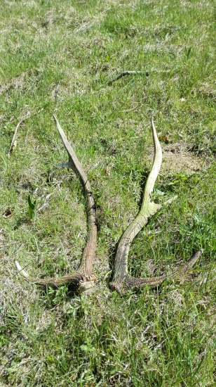 Ukončenie jarnej sezony 2016