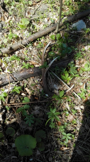 Dnešny..prvy pohľad