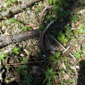 Dnešny..prvy pohľad