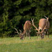 Ešte chvíľu spolu