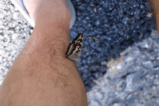 takto si na mne sedel