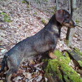 Kde len tie zhody su???