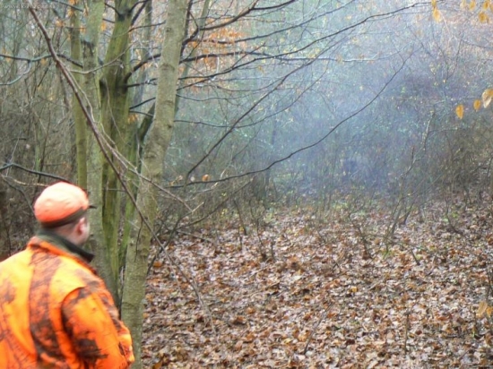 ked sa diviak zmieri so smrtov a laha si sam na zem