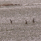 sme tu vsetci chlapi, tak co!