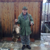 psík medvedikovitý kamarátov