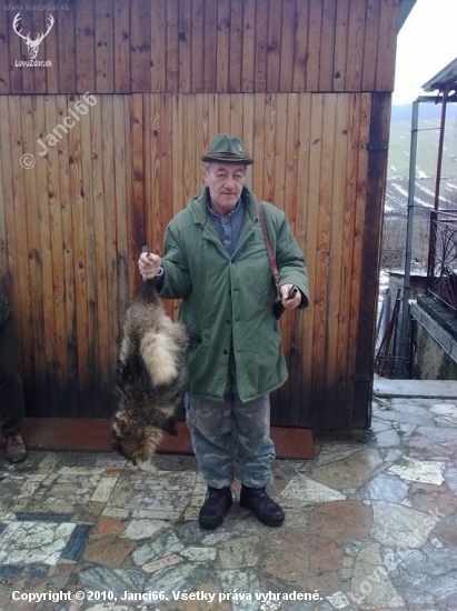 psík medvedikovitý kamarátov