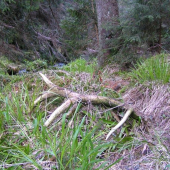 dobri chlapi to nehavaju na sukcesiu